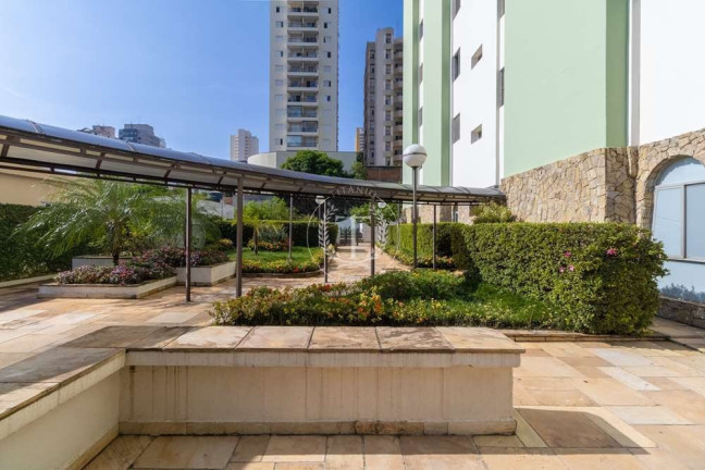 Imagem Apartamento com 2 Quartos à Venda, 49 m² em Vila Da Saúde - São Paulo Imagem Apartamento com 2 Quartos à Venda, 49 m² em Vila Da Saúde - São Paulo