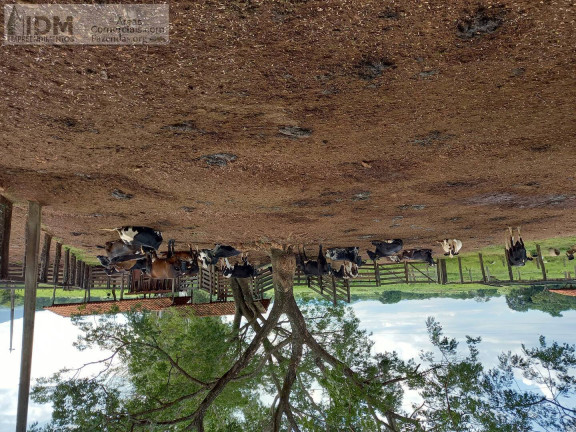Imagem Chácara à Venda, 4.670.000 m² em Centro - Unaí