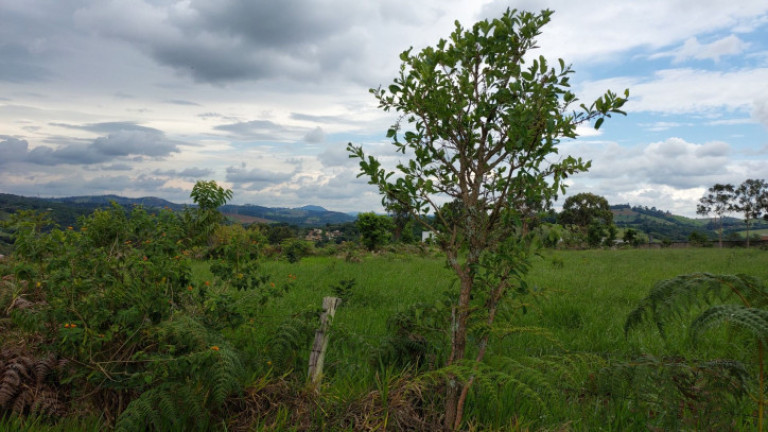 Imagem Terreno à Venda, 60.000 m² em Ressaca - Atibaia Imagem Terreno à Venda, 60.000 m² em Ressaca - Atibaia