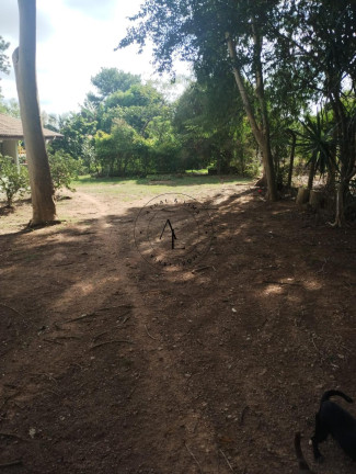 Imagem Chácara com 3 Quartos à Venda, 1.200 m² em Jardim Monte Belo - Campinas Imagem Chácara com 3 Quartos à Venda, 1.200 m² em Jardim Monte Belo - Campinas