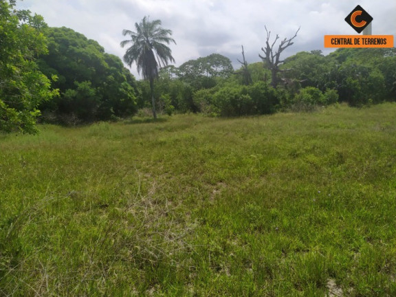 Imagem Terreno à Venda, 25.000 m² em Nova Abrantes (abrantes) - Camaçari Imagem Terreno à Venda, 25.000 m² em Nova Abrantes (abrantes) - Camaçari