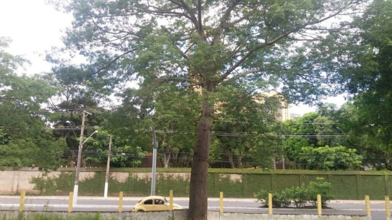 Terreno à Venda, 2.180 m² em Ponte Alta - Aparecida