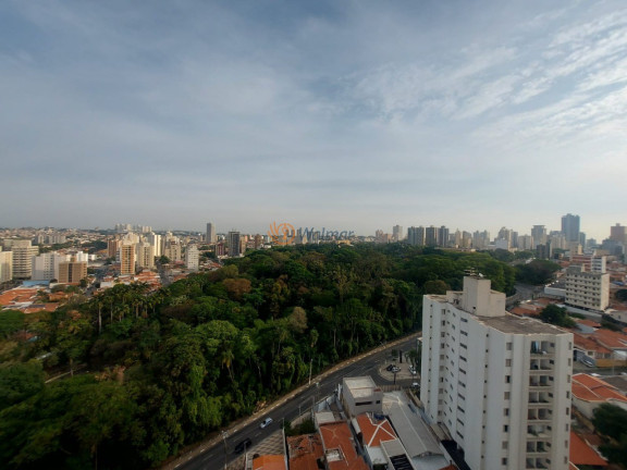 Imagem Imóvel com 3 Quartos para Alugar, 116 m² em Centro - Campinas Imagem Imóvel com 3 Quartos para Alugar, 116 m² em Centro - Campinas