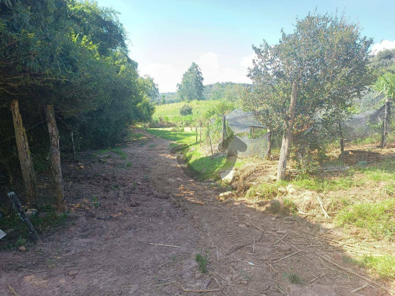 Imagem Chácara à Venda, 110 m² em Linha Travessa - Santa Cruz Do Sul