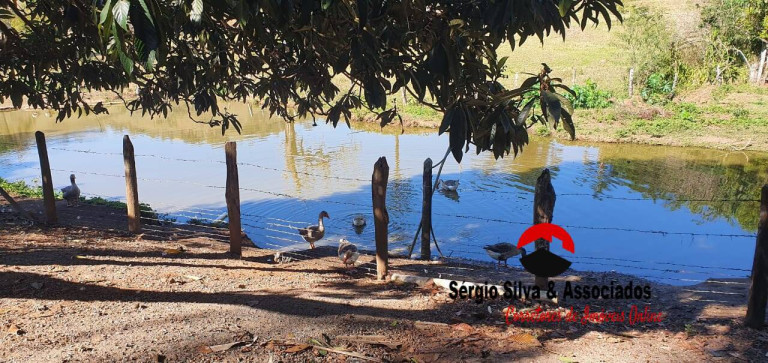 Imagem Chácara com 2 Quartos à Venda, 10 m² em Campos Do Jordão
