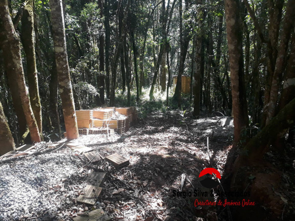 Terreno à Venda, 1 m² em Campos Do Jordão