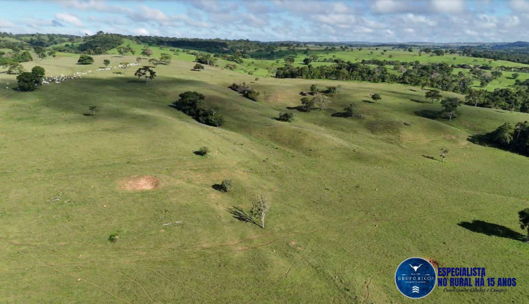 Imagem Fazenda à Venda, 34 m² em Zona Rural - Anicuns Imagem Fazenda à Venda, 34 m² em Zona Rural - Anicuns