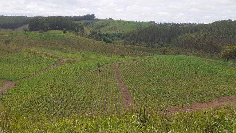 Imagem Fazenda à Venda, 1.950 m² em Centro - Córrego Danta Imagem Fazenda à Venda, 1.950 m² em Centro - Córrego Danta