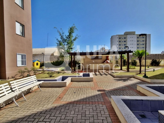 Imagem Apartamento com 2 Quartos à Venda, 65 m² em Vila Guilherme - São Paulo Imagem Apartamento com 2 Quartos à Venda, 65 m² em Vila Guilherme - São Paulo