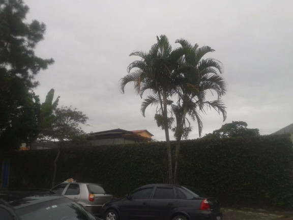 Imagem Imóvel para Alugar, 1.500 m² em Palmeiras De São José - São José Dos Campos Imagem Imóvel para Alugar, 1.500 m² em Palmeiras De São José - São José Dos Campos