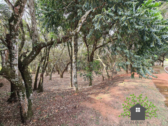 Imagem Terreno à Venda, 1 m² em Parque Rincão - Cotia Imagem Terreno à Venda, 1 m² em Parque Rincão - Cotia