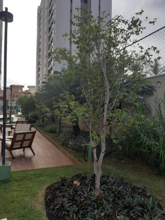 Imagem Apartamento com 3 Quartos à Venda,  em Jardim Tarraf Ii - São José Do Rio Preto