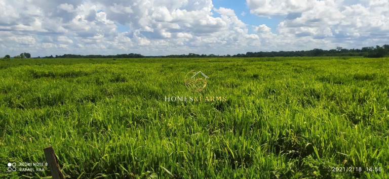 Imagem Imóvel com 3 Quartos à Venda, 423 m² em Zona Rural - Turvelândia Imagem Imóvel com 3 Quartos à Venda, 423 m² em Zona Rural - Turvelândia