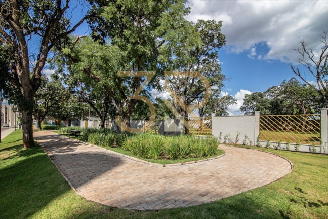 Imagem Apartamento com 2 Quartos para Alugar, 43 m² em Jardim Interlagos - Ribeirão Preto Imagem Apartamento com 2 Quartos para Alugar, 43 m² em Jardim Interlagos - Ribeirão Preto