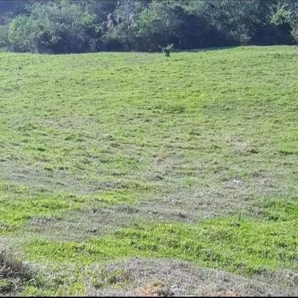 Chácara à Venda, 25.150 m² em Registro - Taubaté