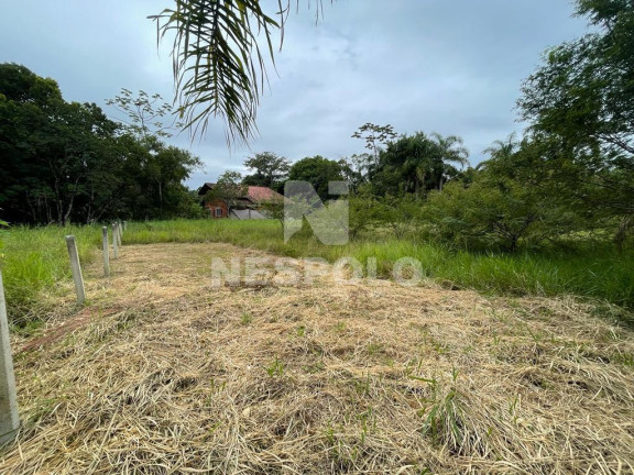 Imagem Terreno à Venda, em Praia Do Estaleiro - Balneario Camboriu Imagem Terreno à Venda, em Praia Do Estaleiro - Balneario Camboriu