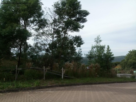 Imagem Terreno à Venda, 725 m² em Pousada Da Neve - Nova Petrópolis Imagem Terreno à Venda, 725 m² em Pousada Da Neve - Nova Petrópolis