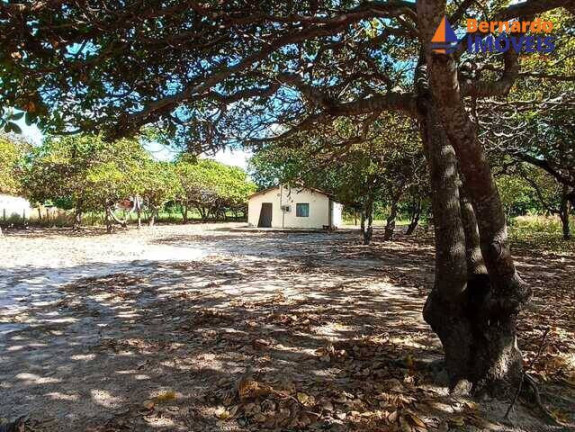 Imagem Chácara à Venda, 15 m² em Tijucussú - Cascavel Imagem Chácara à Venda, 15 m² em Tijucussú - Cascavel