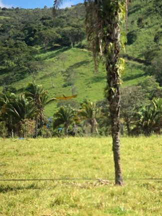 Imagem Fazenda à Venda, 6.050.000 m² em Zona Rural - Cocalzinho De Goiás Imagem Fazenda à Venda, 6.050.000 m² em Zona Rural - Cocalzinho De Goiás