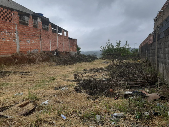 Imagem Terreno à Venda, 250 m² em Jardim São Miguel - Cotia Imagem Terreno à Venda, 250 m² em Jardim São Miguel - Cotia