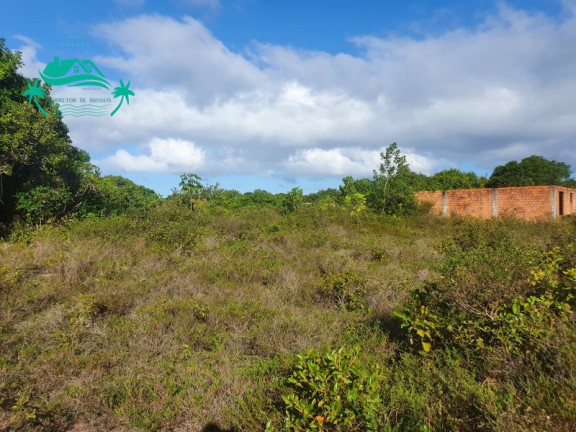 Imagem Imóvel à Venda,  em Porto Sauípe - Entre Rios