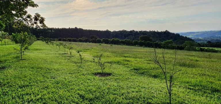 Imagem Imóvel com 2 Quartos à Venda, 40.000 m² em Sousas - Campinas Imagem Imóvel com 2 Quartos à Venda, 40.000 m² em Sousas - Campinas