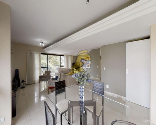 Imagem Apartamento com 4 Quartos à Venda, 216 m² em Vila Mascote - São Paulo Imagem Apartamento com 4 Quartos à Venda, 216 m² em Vila Mascote - São Paulo