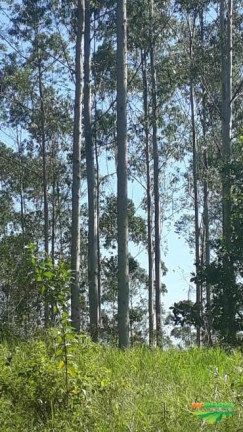 Imóvel à Venda, 265 m² em área Rural De Sete Barras - Sete Barras