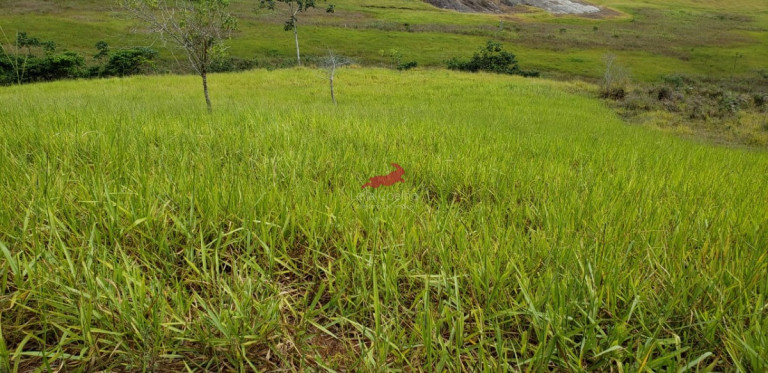 Fazenda à Venda, 968 m² em Centro - Palmópolis
