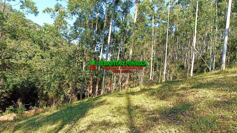 Imagem Chácara à Venda, 2 m² em Centro - Paraibuna Imagem Chácara à Venda, 2 m² em Centro - Paraibuna