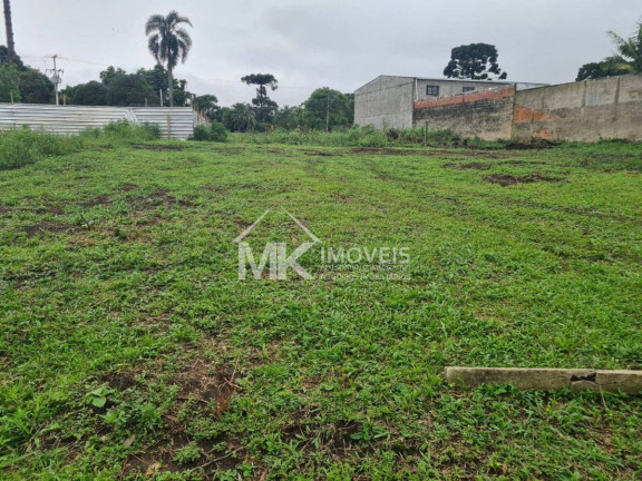 Imagem Terreno à Venda, em Vila Juliana - Piraquara Imagem Terreno à Venda, em Vila Juliana - Piraquara