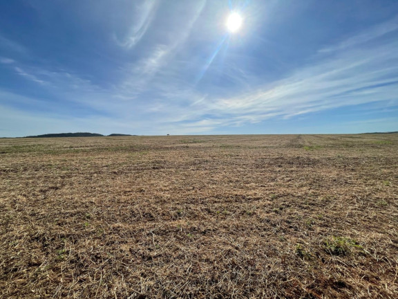 Imagem Fazenda à Venda, 1.530 m² em Zona Rural - Caldas Novas Imagem Fazenda à Venda, 1.530 m² em Zona Rural - Caldas Novas