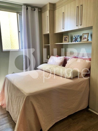Imagem Apartamento com 2 Quartos à Venda, 57 m² em Chácara Belenzinho - São Paulo Imagem Apartamento com 2 Quartos à Venda, 57 m² em Chácara Belenzinho - São Paulo