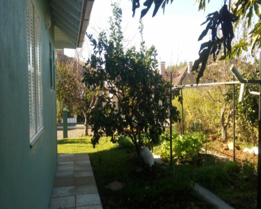 Imagem Imóvel com 3 Quartos à Venda, em Bavária - Nova Petrópolis Imagem Imóvel com 3 Quartos à Venda, em Bavária - Nova Petrópolis