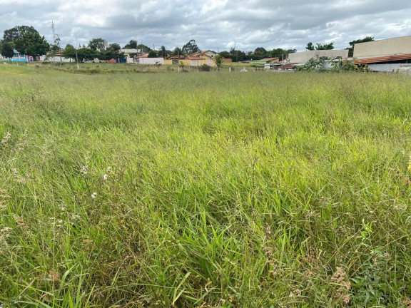 Imagem Terreno à Venda, 7.000 m² em Vila São João - Sarapuí Imagem Terreno à Venda, 7.000 m² em Vila São João - Sarapuí