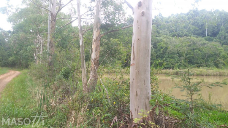 Imagem Chácara à Venda, 80.000 m² em Serra Grande Alemã - Gramado Imagem Chácara à Venda, 80.000 m² em Serra Grande Alemã - Gramado