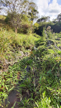 Imagem Fazenda à Venda, em Canguiri - Imaruí Imagem Fazenda à Venda, em Canguiri - Imaruí