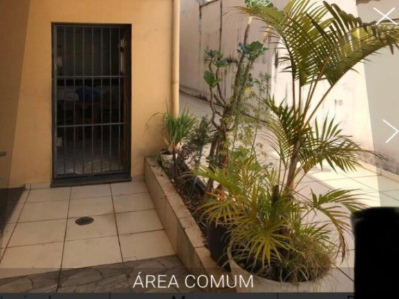 Imagem Imóvel com 3 Quartos para Alugar,  em Belenzinho - São Paulo