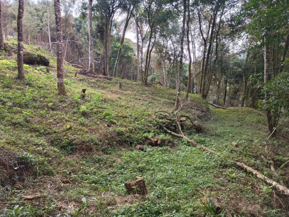 Imagem Chácara à Venda, 25 m² em Curitiba Imagem Chácara à Venda, 25 m² em Curitiba