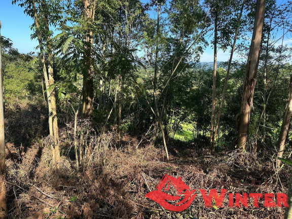 Imagem Chácara à Venda, 2.500 m² em Arroio Das Pedras - Bom Princípio Imagem Chácara à Venda, 2.500 m² em Arroio Das Pedras - Bom Princípio
