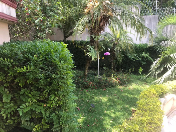Imagem Casa com 4 Quartos à Venda, 430 m² em Fazenda Morumbi - São Paulo Imagem Casa com 4 Quartos à Venda, 430 m² em Fazenda Morumbi - São Paulo