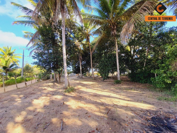 Imagem Imóvel com 2 Quartos à Venda, 500.000 m² em Itapecerica - Itanagra Imagem Imóvel com 2 Quartos à Venda, 500.000 m² em Itapecerica - Itanagra