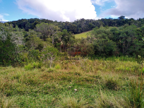 Imagem Terreno à Venda, 19.000 m² em Jardim - Cunha Imagem Terreno à Venda, 19.000 m² em Jardim - Cunha