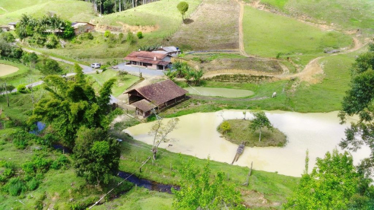 Imóvel com 5 Quartos à Venda, 140.000 m² em Zona Rural - Presidente Nereu
