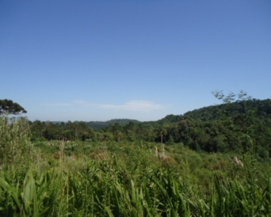 Imagem Terreno à Venda, 4 m² em Morro Da Fome - Nova Petrópolis Imagem Terreno à Venda, 4 m² em Morro Da Fome - Nova Petrópolis