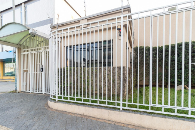 Imagem Apartamento com 3 Quartos à Venda, 59 m² em Jardim Marajoara - São Paulo