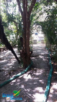 Imagem Terreno à Venda, 4.582 m² em Br367 - Santa Cruz Cabrália Imagem Terreno à Venda, 4.582 m² em Br367 - Santa Cruz Cabrália