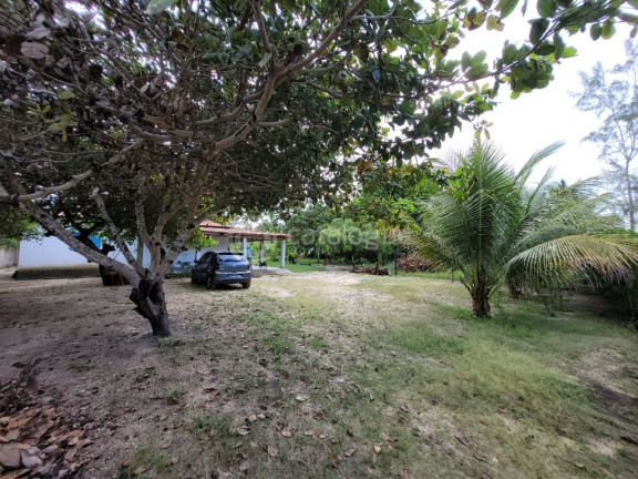Imagem Fazenda à Venda, 2.000 m² em Lagoa Do Bonfim - Nísia Floresta