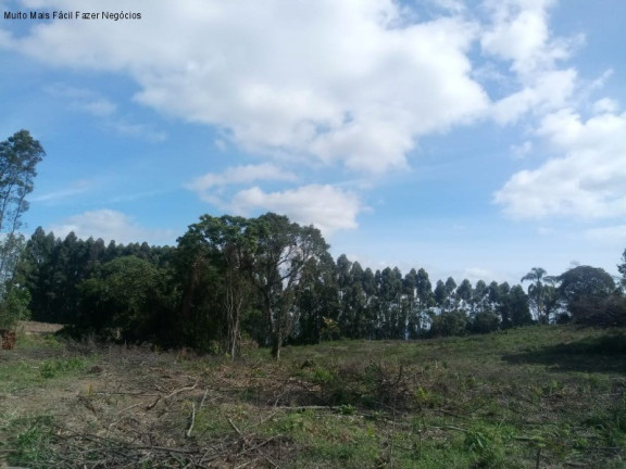 Imagem Terreno à Venda, 4 m² em Pinhal Alto - Nova Petrópolis Imagem Terreno à Venda, 4 m² em Pinhal Alto - Nova Petrópolis