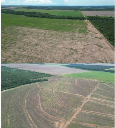 Imagem Fazenda à Venda, 237 m² em Centro - Ribeirão Cascalheira Imagem Fazenda à Venda, 237 m² em Centro - Ribeirão Cascalheira